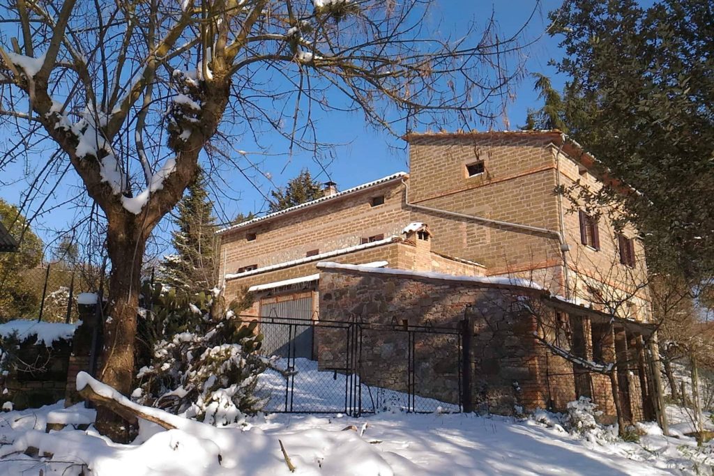 Business plan tartufaia 04 image