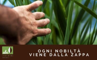 Da dove iniziare